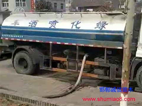 彭家寨鄉(xiāng)邯鄲路段樹(shù)苗澆水